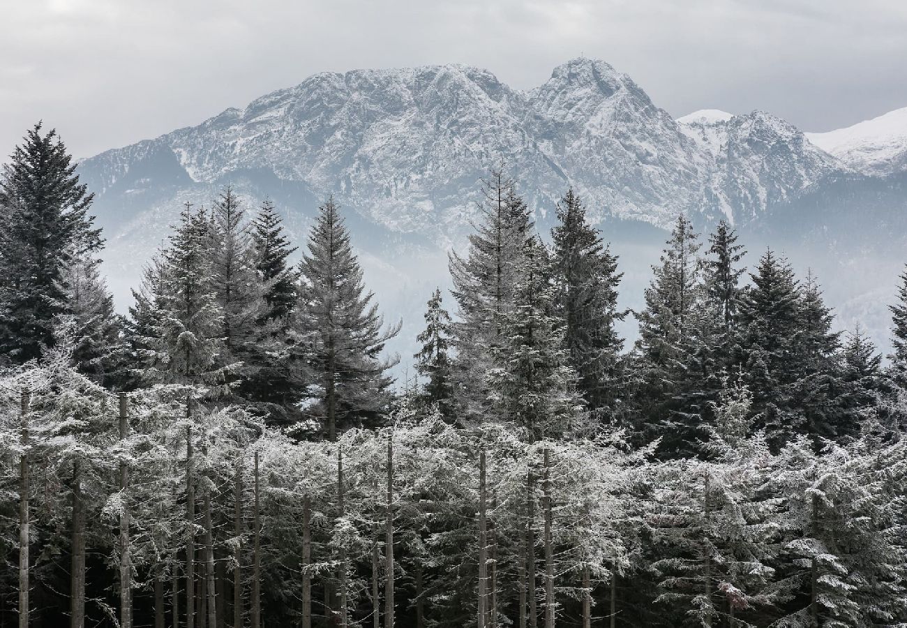 Ferienwohnung in Zakopane - Szymaszkowa 12/8^