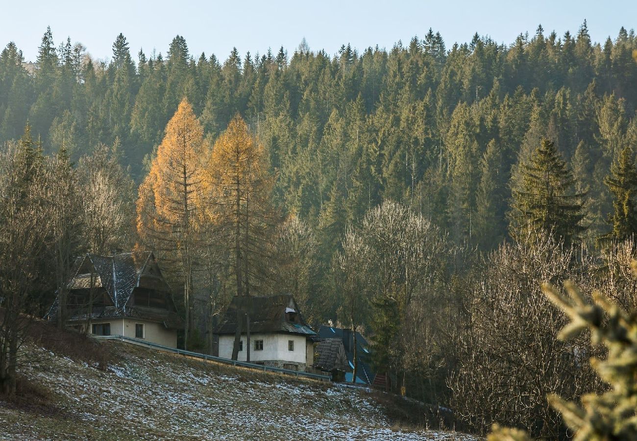 Ferienwohnung in Zakopane - Ciągłówka 19A/4^