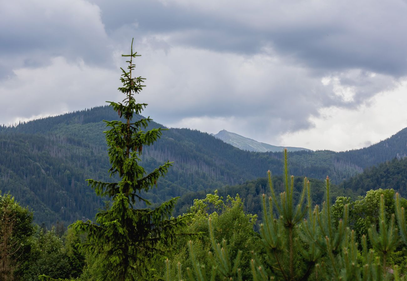 Ferienwohnung in Zakopane - Os. Kasprusie 15/12