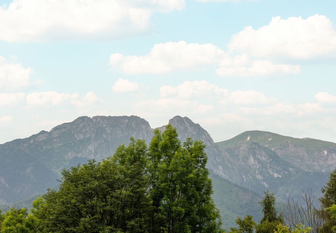 Ferienwohnung in Zakopane - Stara Polana 27A