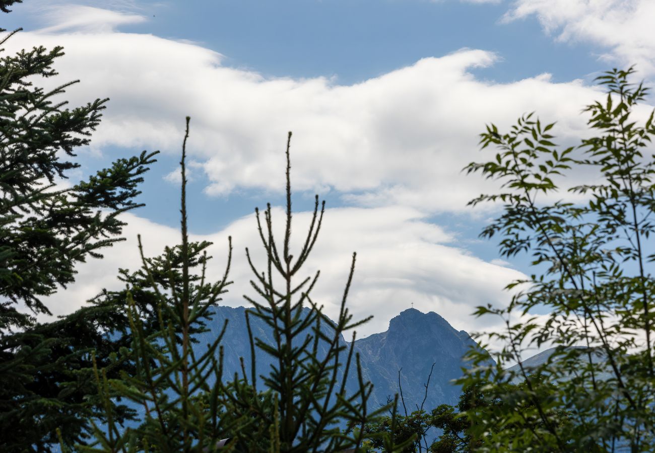 Ferienwohnung in Zakopane - Szymony 17E/321