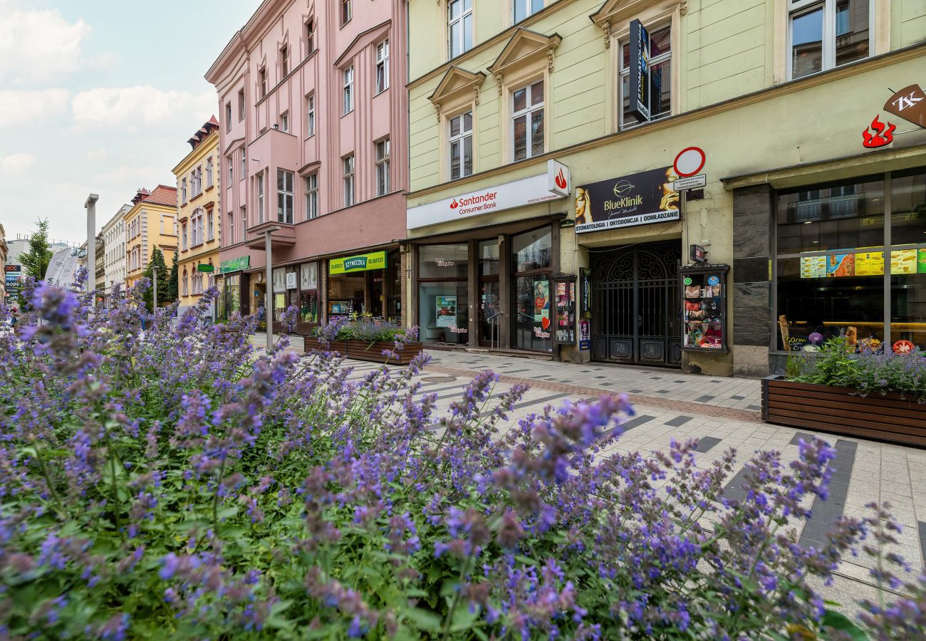 Ferienwohnung in Bytom - Dworcowa 11/5