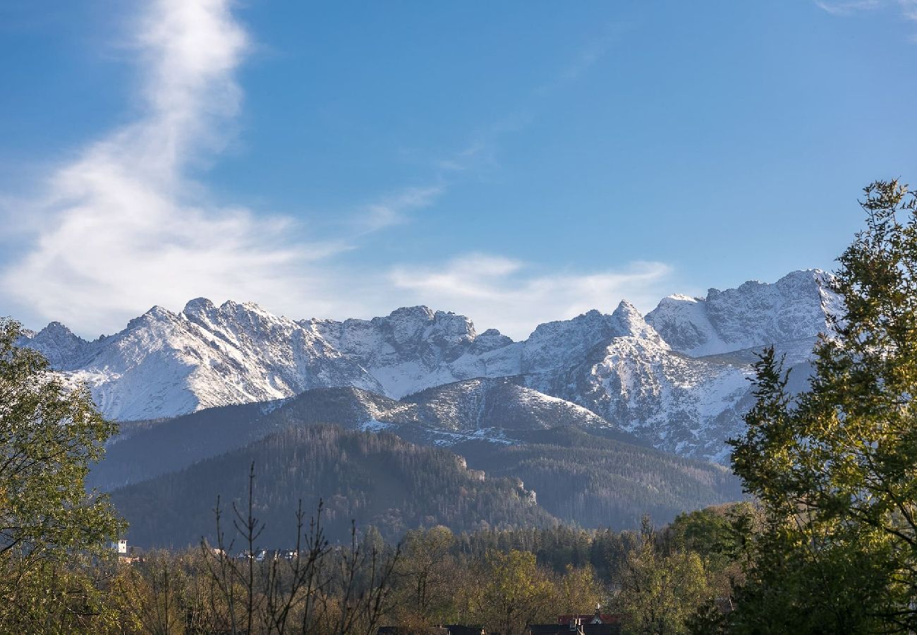 Apartment in Zakopane - Szklane Domy A47^