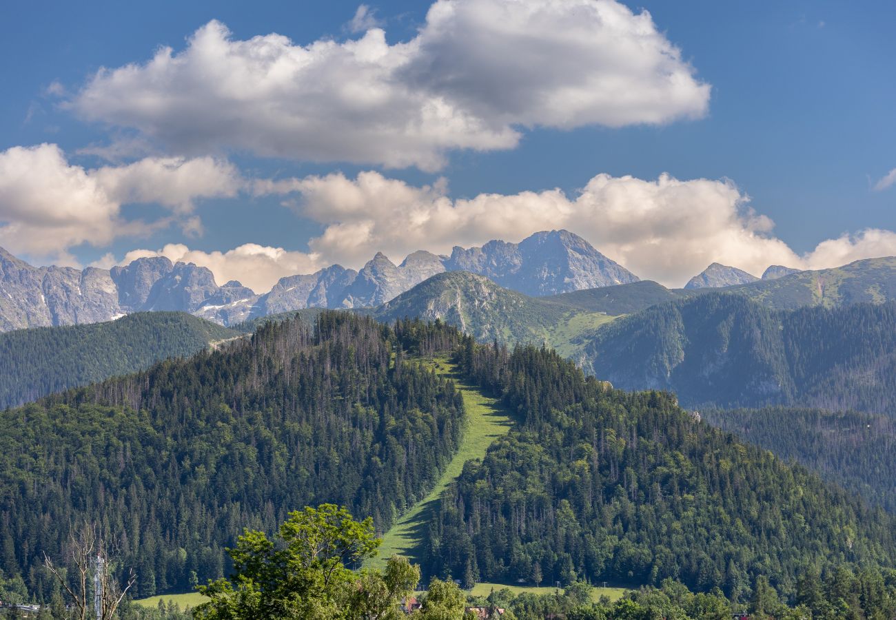 Apartment in Zakopane - Salwatoriańska 28/2