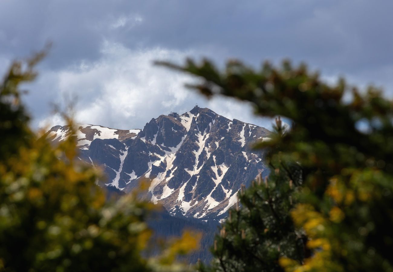 Apartment in Zakopane - Os. Boruty-Spiechowicza 5/1