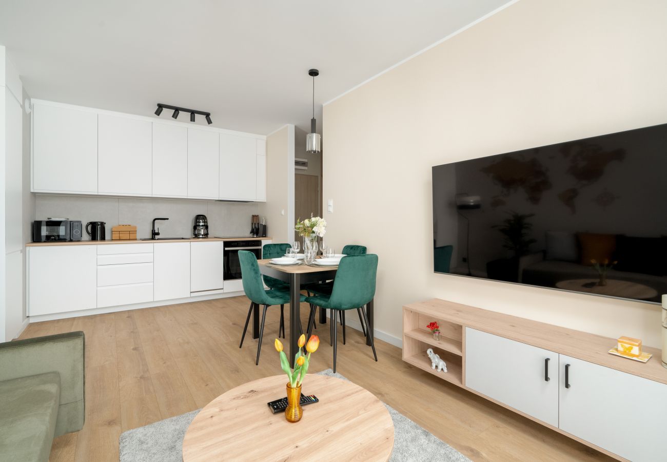 Apartment in Poznań - Katowicka 2G/11