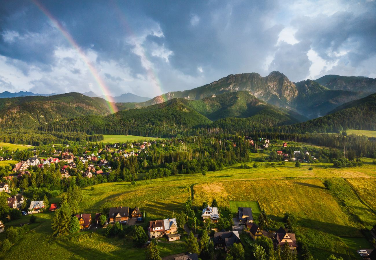 Dom w Zakopane - Dom Zasypane-A (poziom 0 i 1)