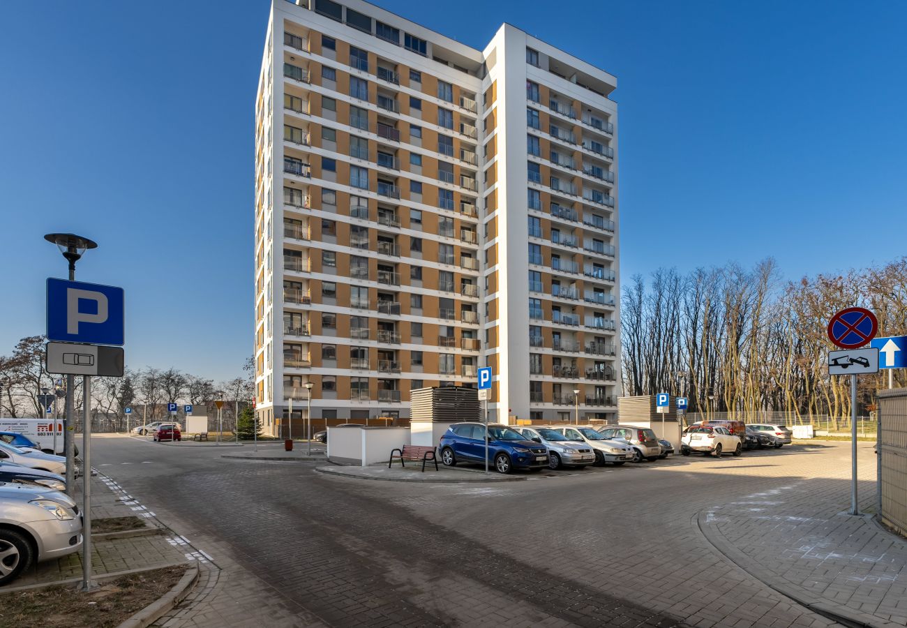 Apartament w Poznań - 28 czerwca 1956r 382c/102