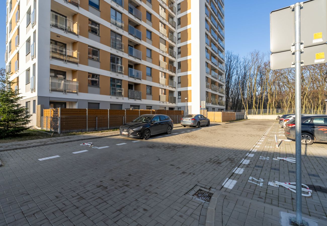 Apartament w Poznań - 28 czerwca 1956r 382c/102